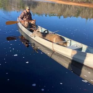 Meet your Posher, Sam